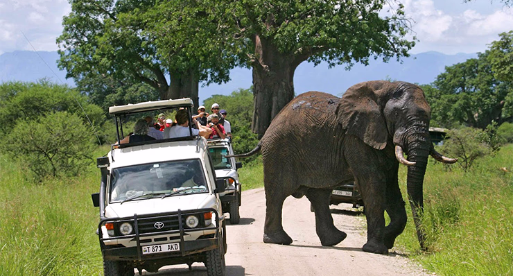 4-day-classic-safari-to-tarangire-serengeti