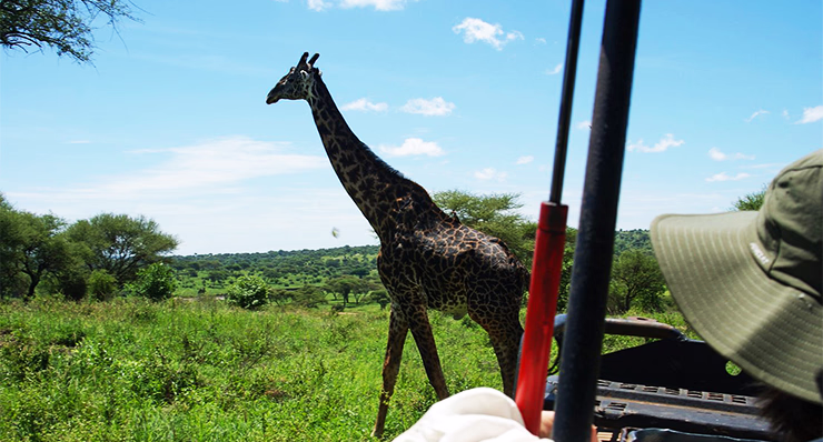 5-Day Classic Northern Circuit Safari